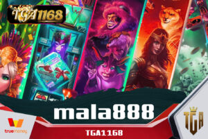 mala888